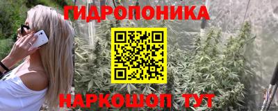 крисы Бугуруслан