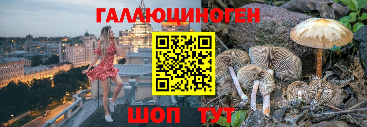 Галлюциногенные грибы мицелий  Псилоцибиновые грибы прущие грибы  Вход с VPN  Полысаево 